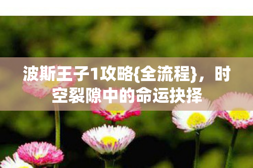 时空裂隙中的命运抉择图片