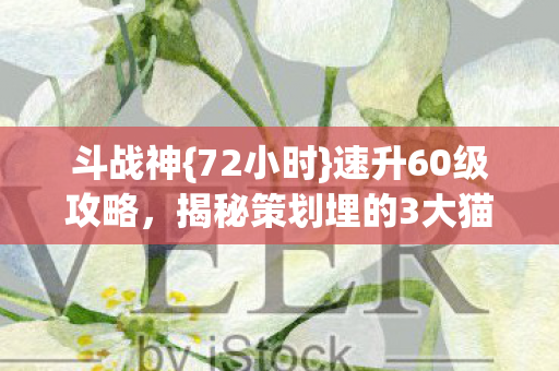 揭秘策划埋的3大猫腻图片