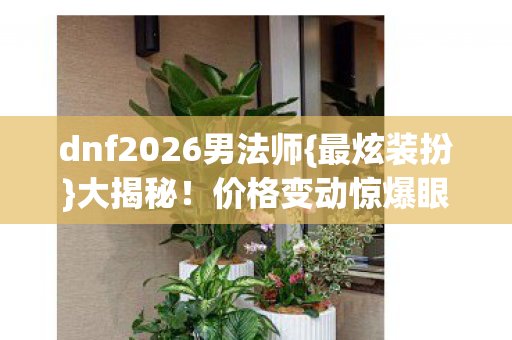 dnf2026男法师图片