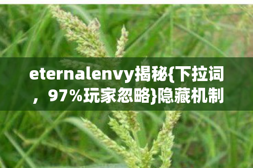 eternalenvy揭秘图片