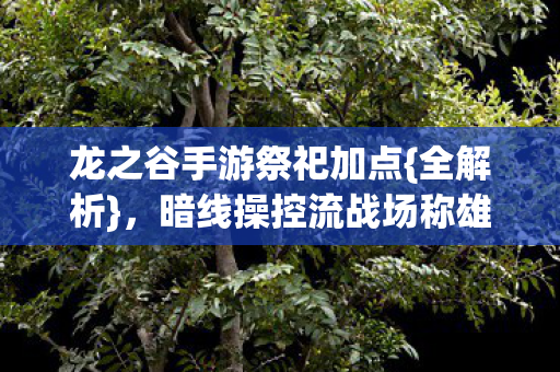 龙之谷手游祭祀加点图片