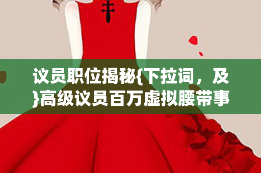 高级议员百万虚拟腰带事件图片