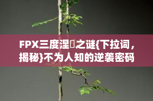 FPX三度涅槃之谜图片