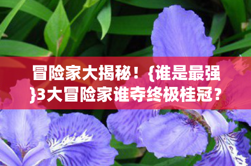 3大冒险家谁夺终极桂冠图片