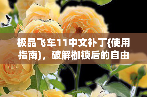 极品飞车11中文补丁{使用指南}，破解枷锁后的自由困局