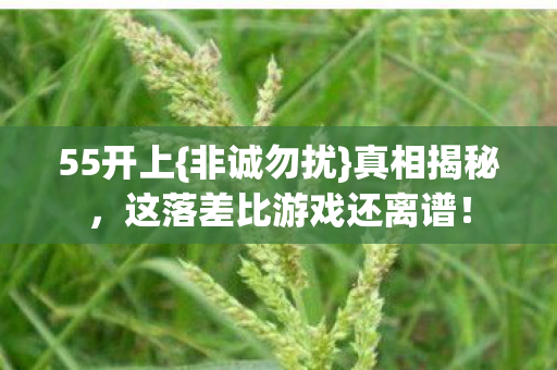 55开上{非诚勿扰}真相揭秘，这落差比游戏还离谱！