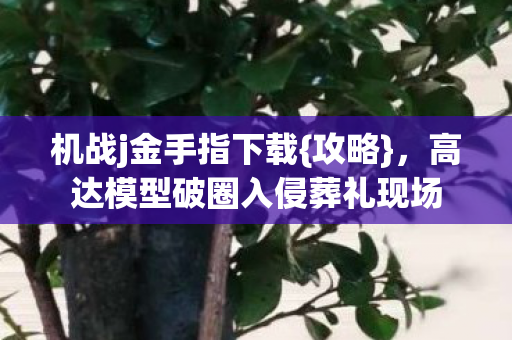机战j金手指下载{攻略},高达模型破圈入侵葬礼现场 机战j金手指下载{攻略},高达模型破圈入侵葬礼现场