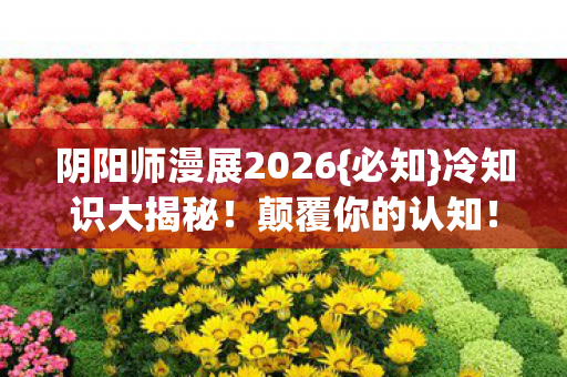 阴阳师漫展2026图片