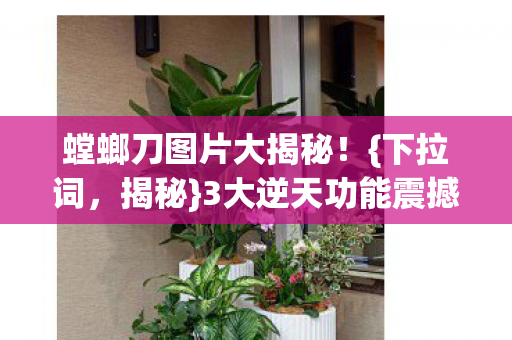 3大逆天功能震撼来袭图片