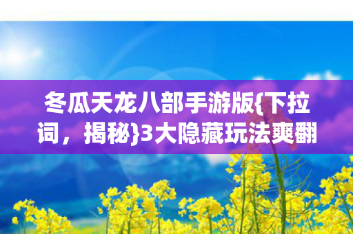 冬瓜天龙八部手游版图片