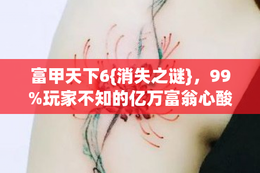 玩家不知的亿万富翁心酸图片