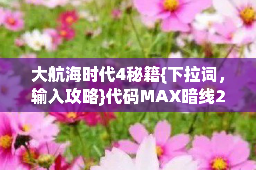 代码MAX暗线2027纪实图片