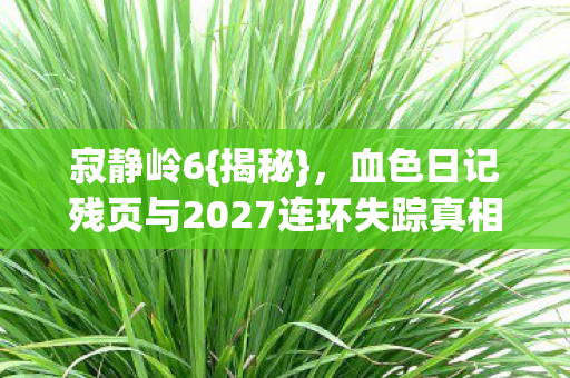 血色日记残页与2027连环失踪真相图片