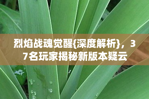 37名玩家揭秘新版本疑云图片