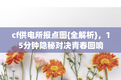 15分钟隐秘对决青春回响图片