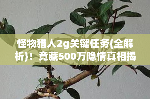 竟藏500万隐情真相揭秘图片
