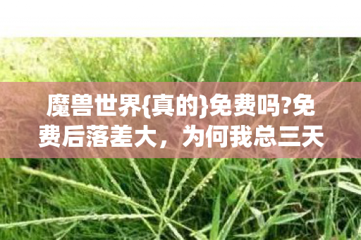为何我总三天回归图片