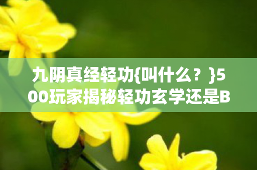 500玩家揭秘轻功玄学还是BUG图片