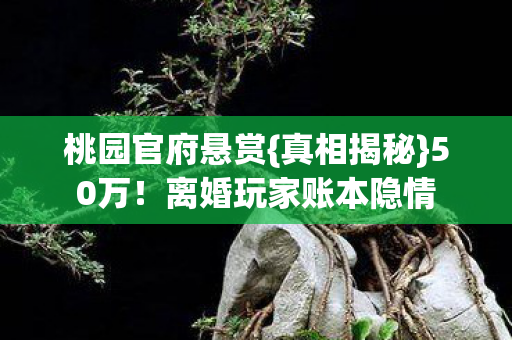 桃园官府悬赏{真相揭秘}50万!离婚玩家账本隐情 桃园官府悬赏{真相揭秘}50万!离婚玩家账本隐情