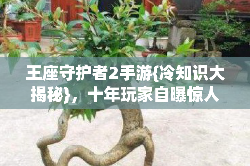 王座守护者2手游{冷知识大揭秘}，十年玩家自曝惊人设定