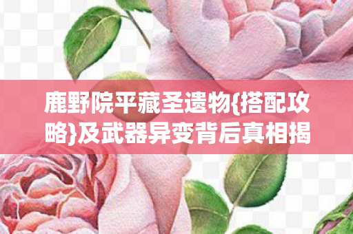 鹿野院平藏圣遗物{搭配攻略}及武器异变背后真相揭秘 鹿野院平藏圣遗物{搭配攻略}及武器异变背后真相揭秘