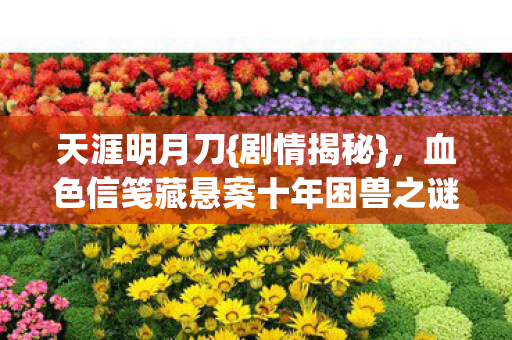 天涯明月刀{剧情揭秘},血色信笺藏悬案十年困兽之谜 天涯明月刀{剧情揭秘},血色信笺藏悬案十年困兽之谜