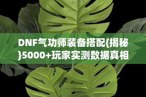 DNF气功师装备搭配{揭秘}5000+玩家实测数据真相 DNF气功师装备搭配{揭秘}5000+玩家实测数据真相