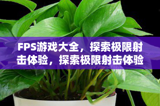 探索极限射击体验图片