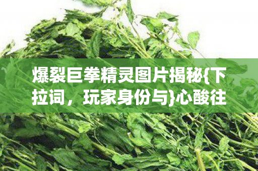 爆裂巨拳精灵图片揭秘{下拉词,玩家身份与}心酸往事 爆裂巨拳精灵图片揭秘{下拉词,玩家身份与}心酸往事