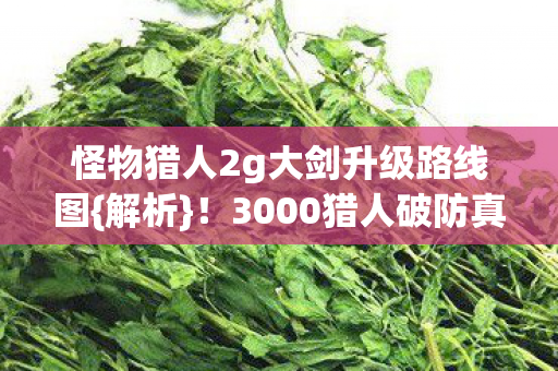怪物猎人2g大剑升级路线图{解析}！3000猎人破防真相
