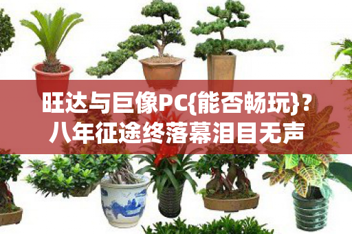 八年征途终落幕泪目无声图片
