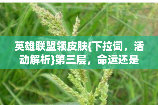 英雄联盟领皮肤图片