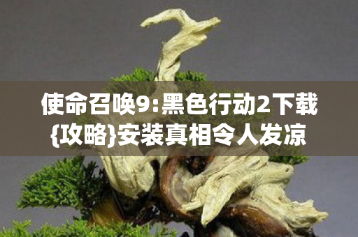 安装真相令人发凉图片