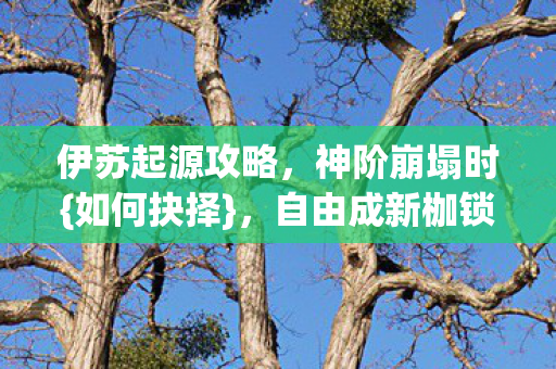 伊苏起源攻略图片
