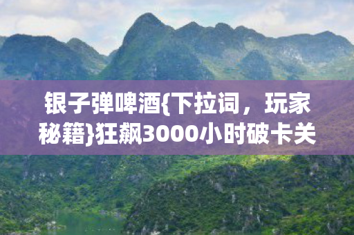 狂飙3000小时破卡关攻略图片