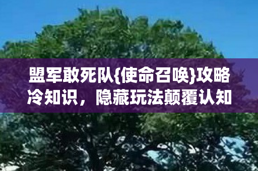 隐藏玩法颠覆认知图片