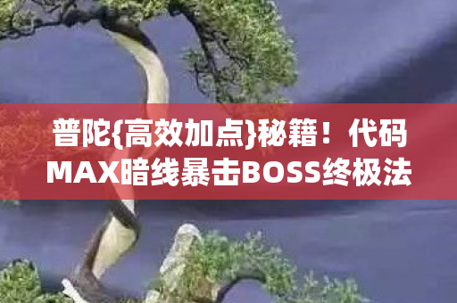 代码MAX暗线暴击BOSS终极法图片