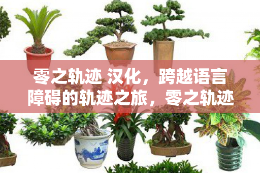 跨越语言障碍的轨迹之旅图片