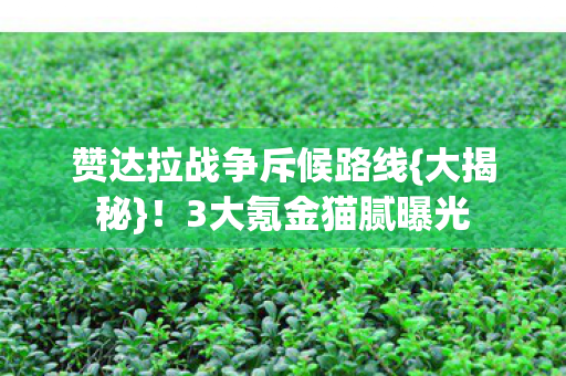 赞达拉战争斥候路线图片
