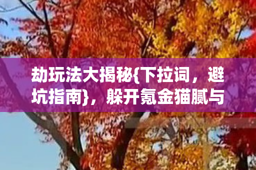 躲开氪金猫腻与创新陷阱图片