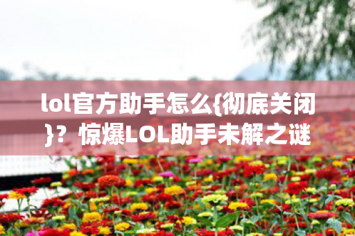惊爆LOL助手未解之谜揭秘图片