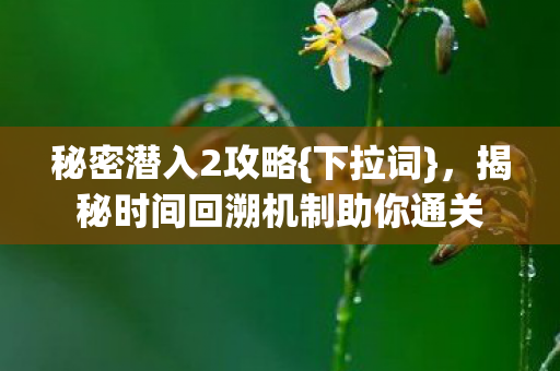 揭秘时间回溯机制助你通关图片