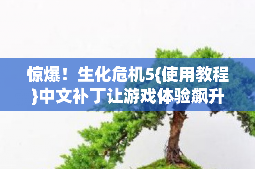 中文补丁让游戏体验飙升图片