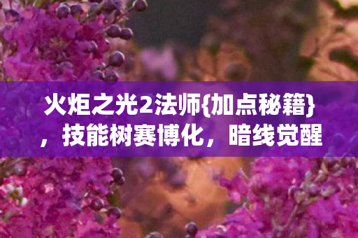 火炬之光2法师图片