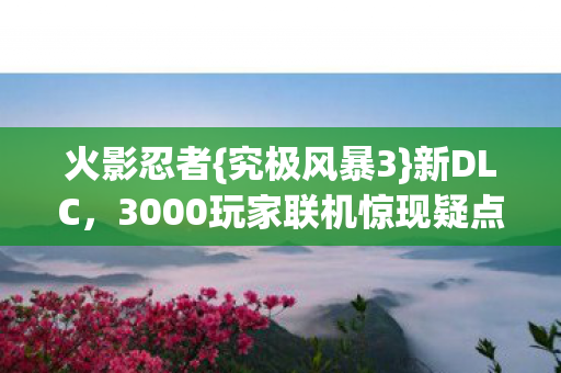 3000玩家联机惊现疑点图片