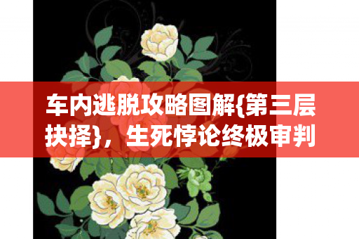 车内逃脱攻略图解图片