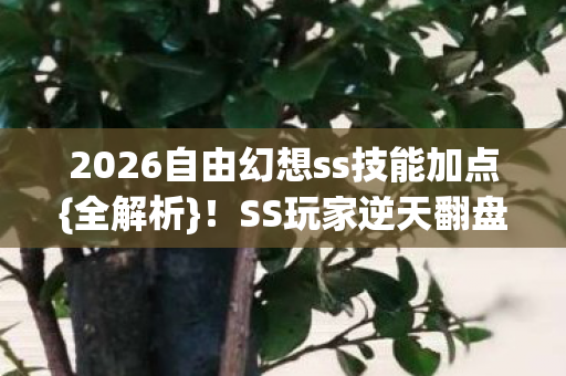 2026自由幻想ss技能加点图片