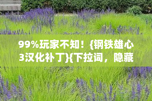 钢铁雄心3汉化补丁图片