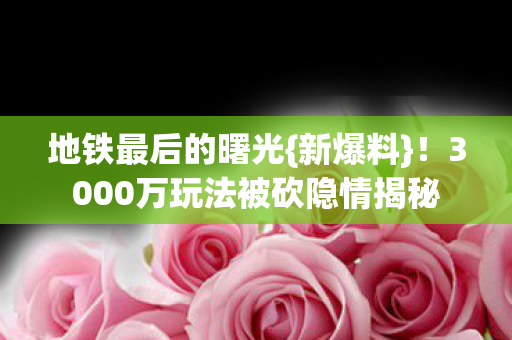 3000万玩法被砍隐情揭秘图片