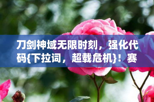 刀剑神域无限时刻图片